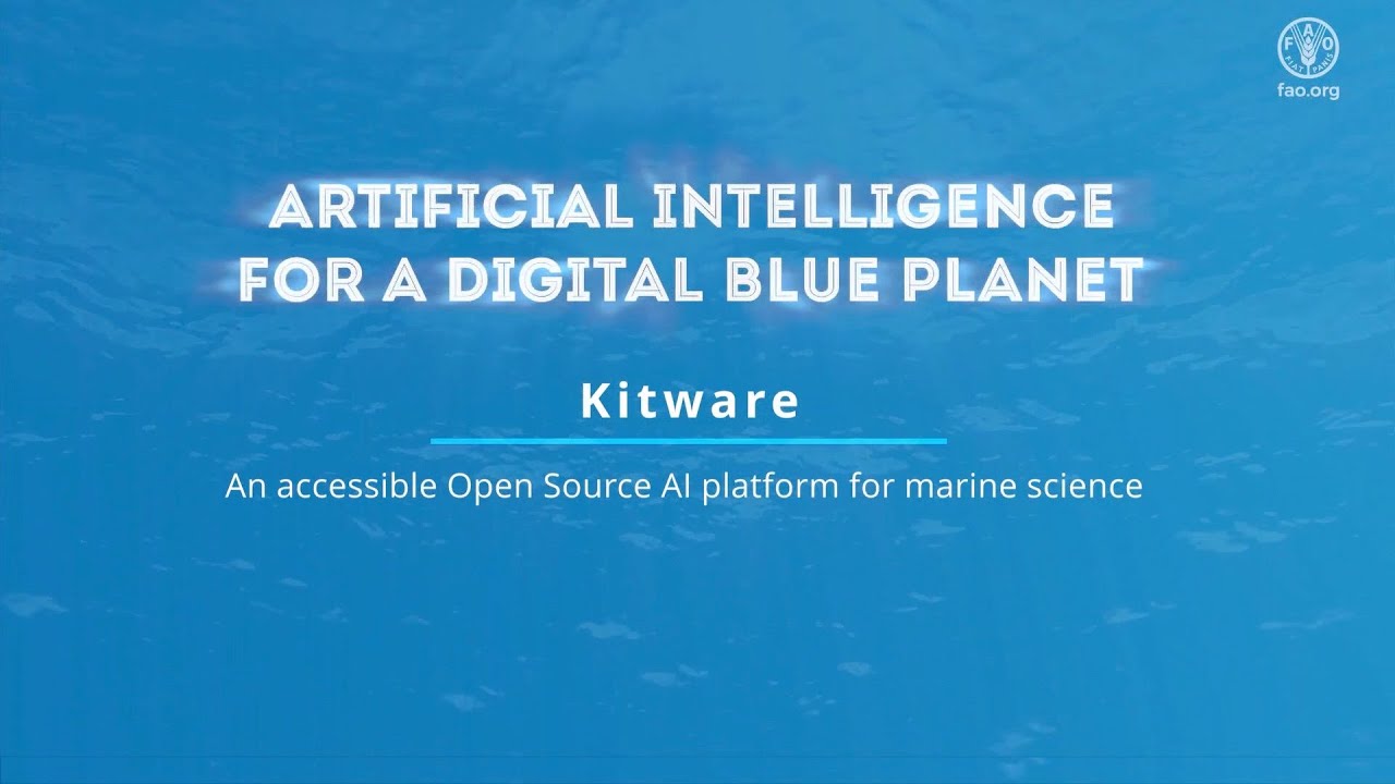 FAO AI4DBP - An accessible Open Source AI platform for marine science
