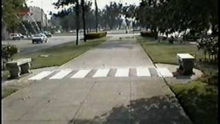 preview picture of video 'Sin tiítulo (cebra de cal - 5ta avenida). La Habana, 2003'