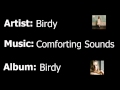 Birdy - Comforting Sounds 
