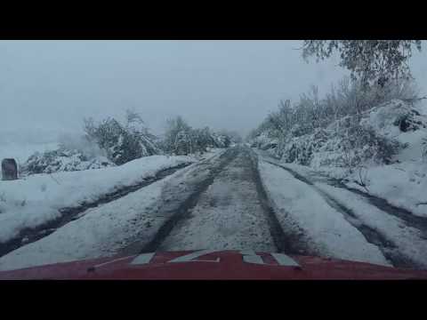 Dj244D Husi - Bunesti Averesti