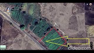 Agricultural Land for Sale in Narayankhed, Sangareddy