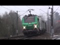 ALBERT LES 9 ET 10 FEV 2010