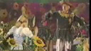 The Wizard of Oz on Ice: If I Only Had a Brain