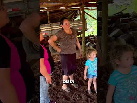 Volver a empezar en nuestra tierra 🌱 | Historias que inspiran desde Misiones