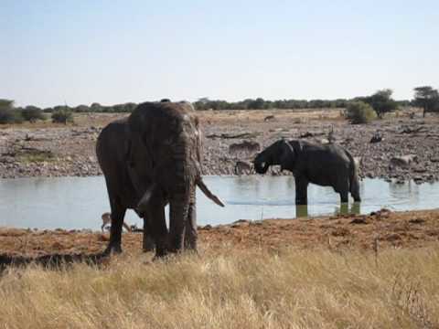 Etosha