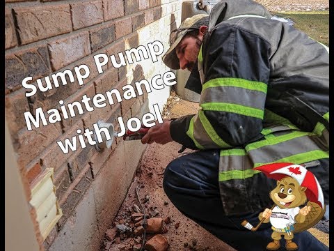 Sump Pump Maintenance with Joel