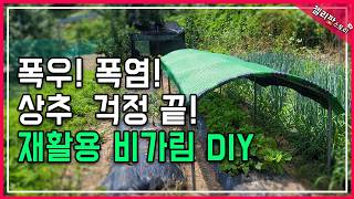 찐노하우! 폭우+폭염에도 상추 살리는 '재활용 차광막' 만들기 버려진 포도밭 활대의 놀라운 변신 (장마/더위…