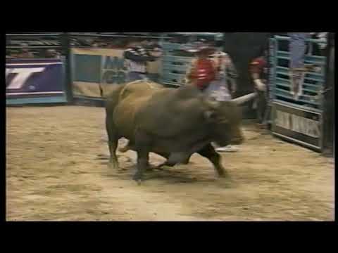 Red Baron bucks Adam Carrillo - 97 PBR Finals