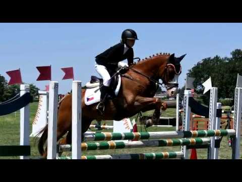 PONY GALA 2018 - Všestrannost - Nominace jezdci 13 - 16 let