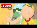 Caillou Makes A New Friend Full Episodes Caillou Compilations