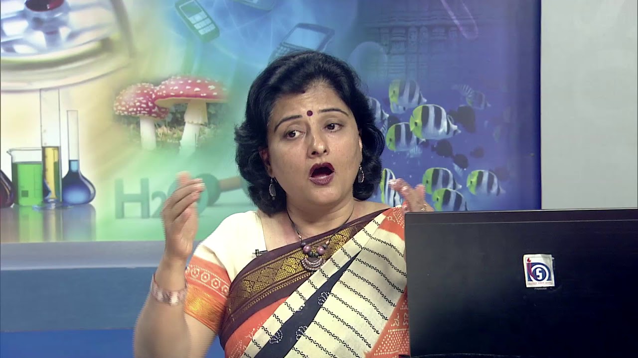 CWSN:Locomotor Impairment and Multiple Impairments