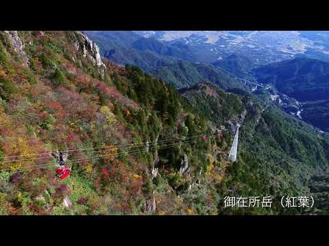 御在所岳(紅葉)　【ドローン撮影】(菰野町)｜観光三重｜三重県の観光・旅行情報