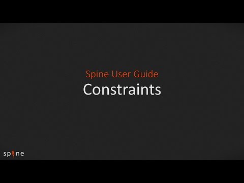 Spine User Guide - Constraints