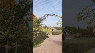 Download lagu Zahra farm in kuwait 🫶🏻 #farm #kuwait #zahrafarm #shorts #aesthetic #nature #peace #vibes #february mp3