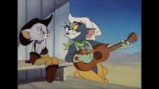 Devin Shamel - Pretty Little Sunshine