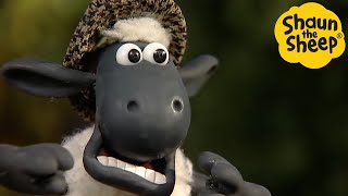 Shaun the Sheep 🐑 Secret Sheep! - Cartoons for Kids 🐑 Full Episodes Compilation [1 hour]