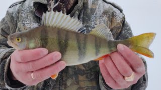 Рыбалка по первому льду на Усть-Илимском водохранилище