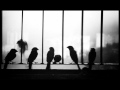 current 93 - Falling Back In Fields of Rape 