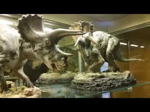 #0001/1000 Triceratops Sideshow Dinosauria (shown with Shane Foulkes model) Video