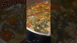 Spring chicken soup #tasty #good