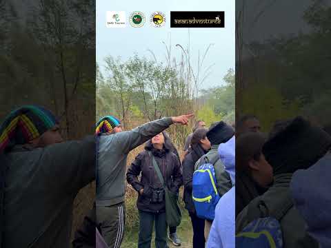 Cold mornings. Quiet words. Wild wings