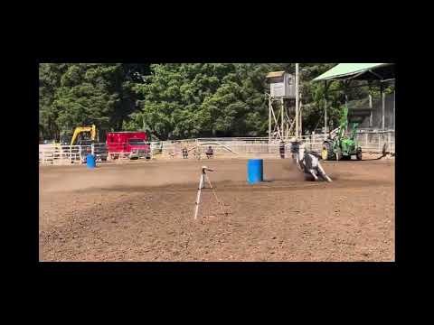 5 N Pine St., Dayton, WA, United States, Washington video thumbnail