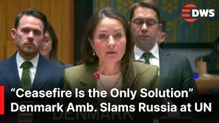 Danish Ambassador Calls for Immediate Ceasefire and Peace Talks on Ukraine | AC1E
