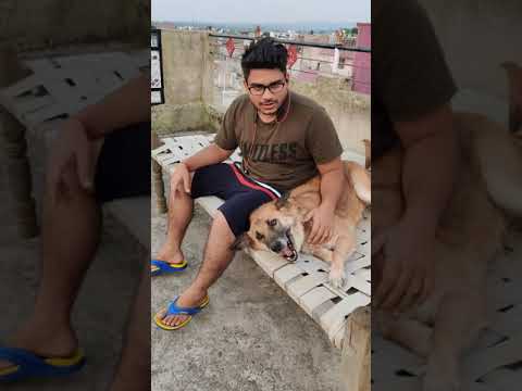 Zuni 😍😍 #shorts