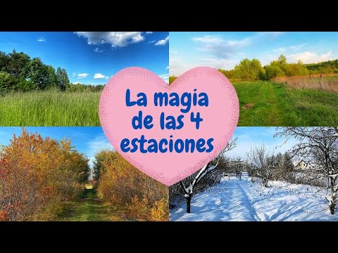 The magic of the 4 seasons in Poland 🇵🇱🌷🌻🍁❄️