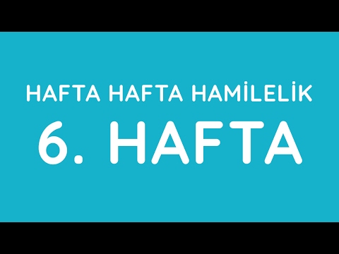 Week 6 - Pregnancy Week by Week - Pregnancy | Anneysen.com