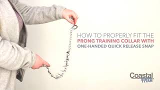How to Get the Proper Fit: Titan Dog Prong Training Collar with One-Handed Quick Release Snap