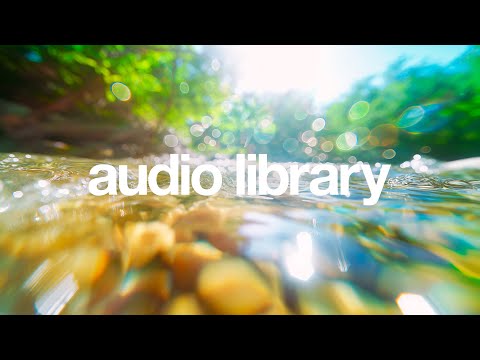 Stream – LiQWYD (No Copyright Music)