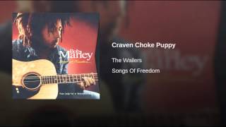 Craven Choke Puppy