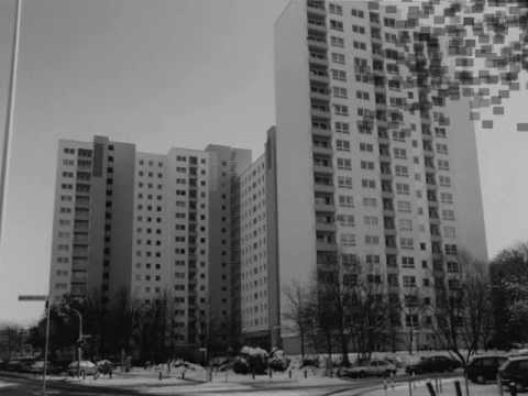 Mc Miso - 64289 Kranichstein