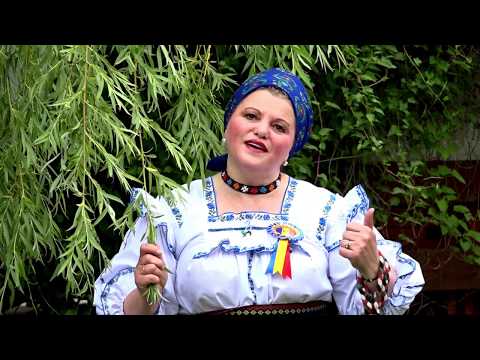 Axenia Rozniciuc -  Azi m-o prins un dor de acasa