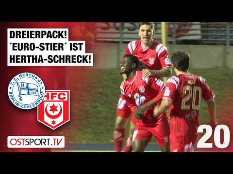 Hat trick! "Euro-Bull" is Hertha's nemesis: H. Zehlendorf - Hallescher FC | Regionalliga Nordost