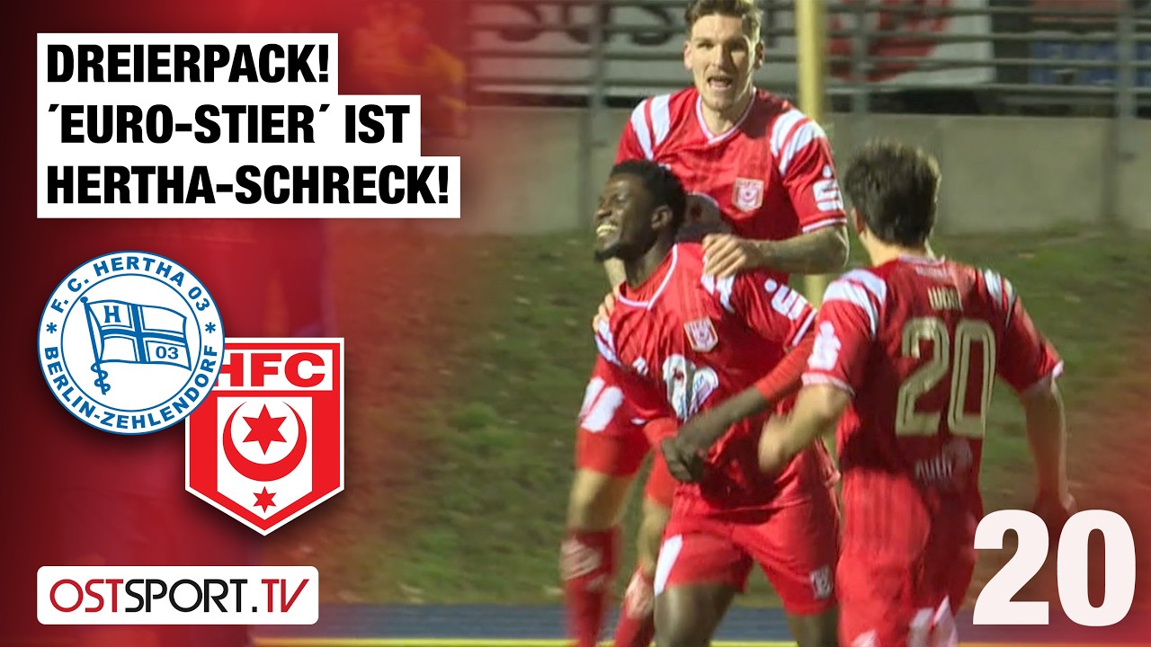 Hertha Zehlendorf vs Hallescher Highlights