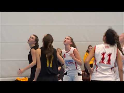 Scores Hoofddorp Vrouwen U22-1 tegen Black Eagles Vrouwen U22-1 (home game 30 november 2018)