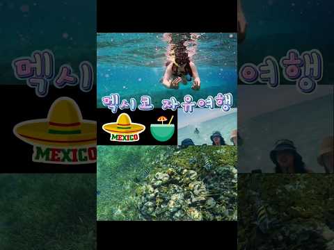 Mexico Highlights