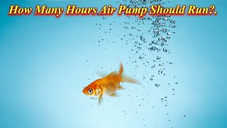 How Many Hours Should Air Pump Run? How To Keep Gold Fish Healthy?./ Fish Aquarium Tamil