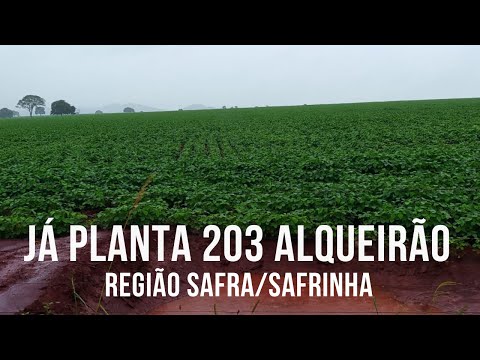 FAZENDA À VENDA EM GOIÁS -  ARGILA 35% - R$ 90 MILHÃO - DUPLA APTIDÃO - BOA DE ÁGUA #fazenda #goiás