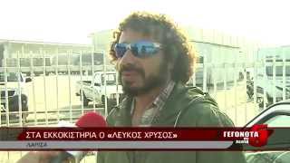 ΣΤΑ ΕΚΚΟΚΙΣΤΗΡΙΑ Ο «ΛΕΥΚΟΣ ΧΡΥΣΟΣ»