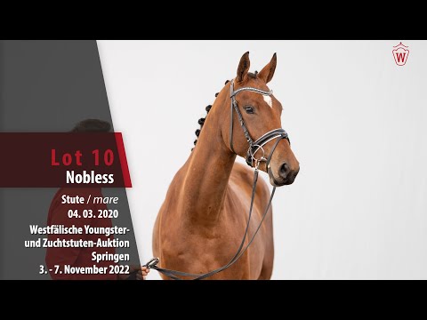 Online-Auktion Lot 10 Nobless Stute v. Nixon van het Meulenhof - Heartbreaker