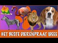 Britt heeft een belangrijke vraag voor jullie! | DierenpraatTV