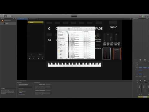 Peter James presenta OB Ambient Pads Walkthrough (Traducido por Anthony Catacoli)