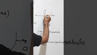 number of Zeroes by graph #mathematics #cbse #class10 #englishmedium #polynomials