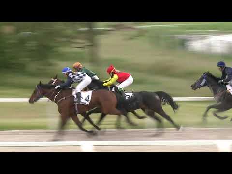 2021.05.23. 07. futam - GEMINI HENDIKEP (IV.o.) (szintetikus pálya)