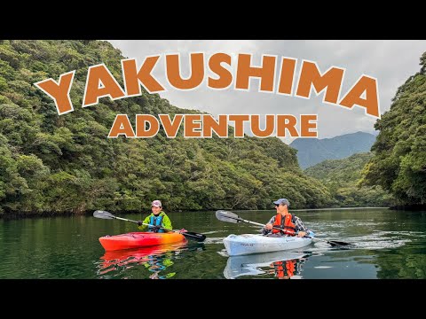Explore Yakushima: Japan’s Wild Island Paradise | Nature, Hiking & Adventure in Kyushu
