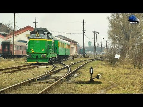 LDE1250 69-0005-9 & R9695 Oravița-Lișava-Gârlişte-Anina in Gara Oravița Station - 14 February 2019