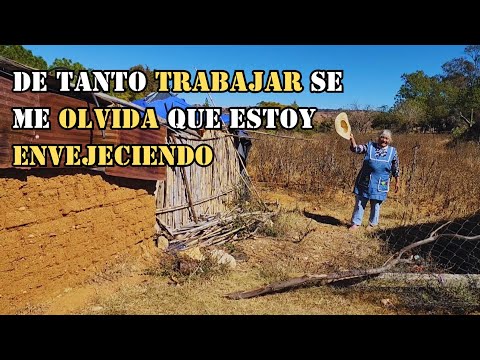 "Usted ya no debería de trabajar 😔 se enoja mi sobrino"|Tía Fidelia